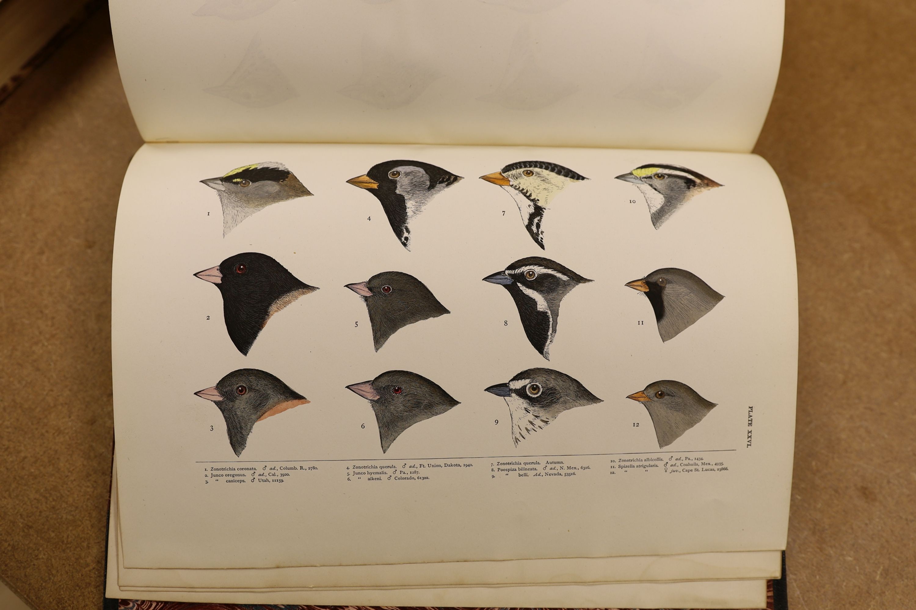 Baird, S.F. & Others - A History of North America Birds: Land Birds, 3 vols., coloured plates and other illus.; old half leather and marbled boards, gilt tops and marbled e/ps., 4to.